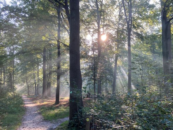 acceptatie angst paniek burnout